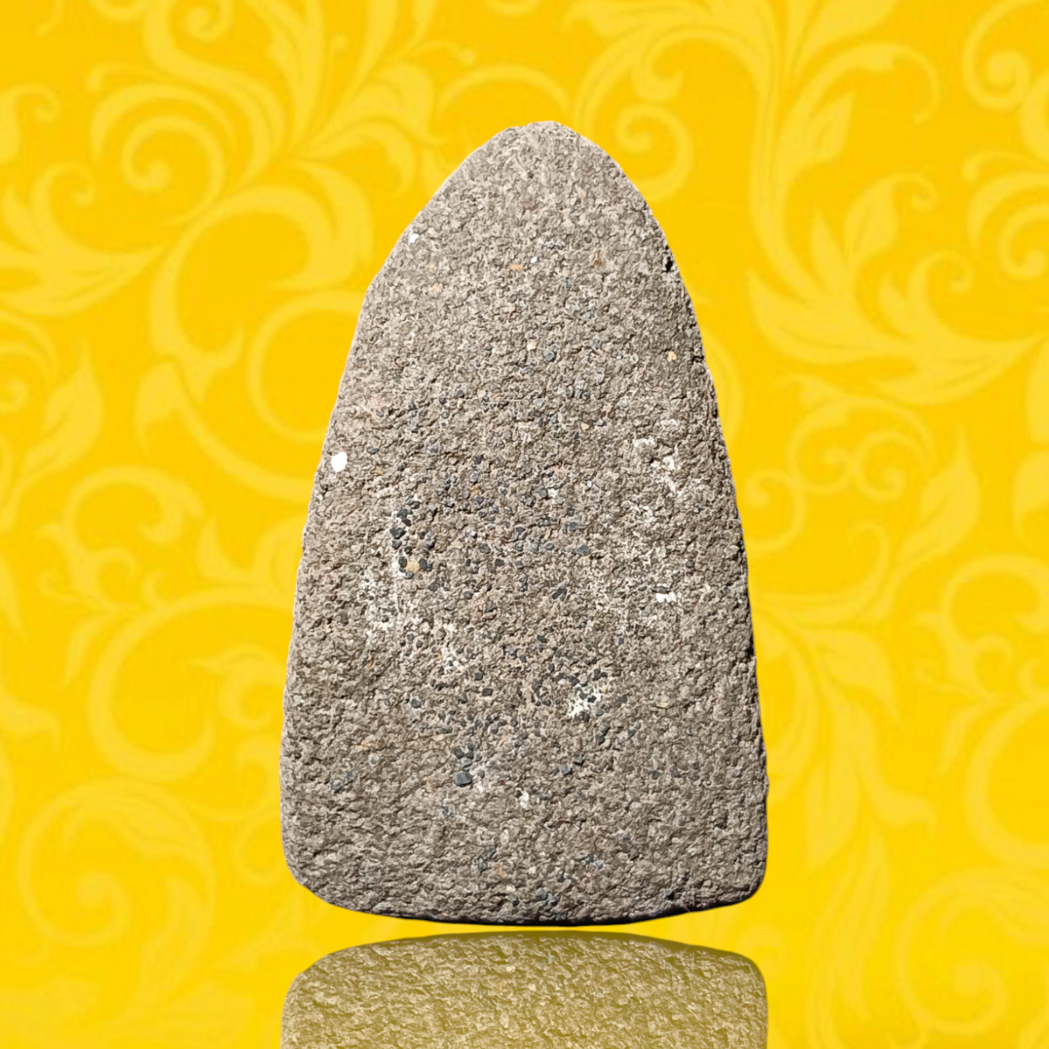 ภาพเพิ่มเติม