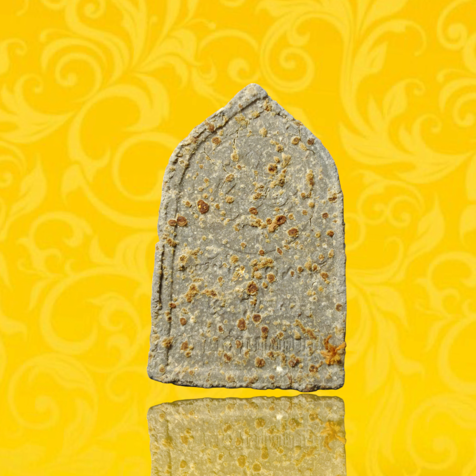 ภาพเพิ่มเติม