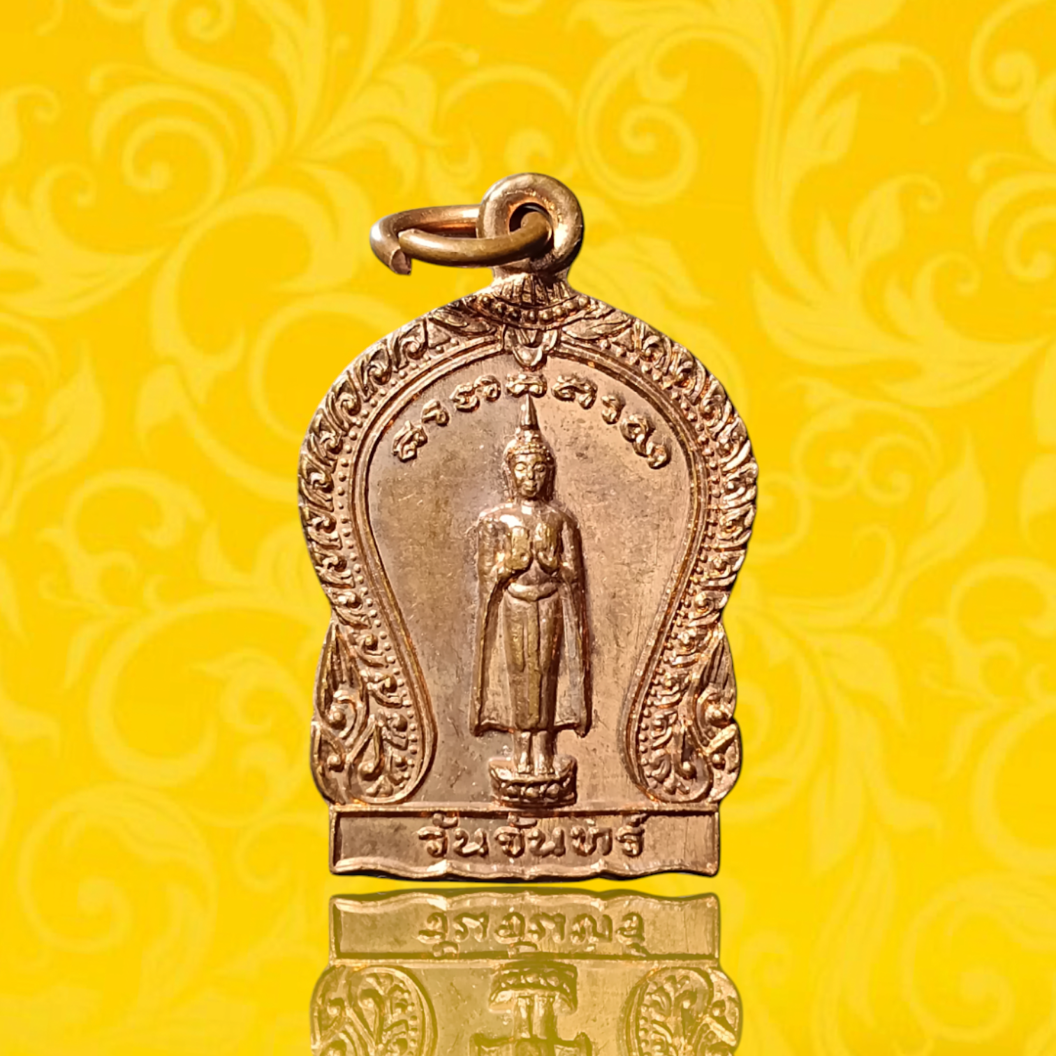 ภาพเพิ่มเติม